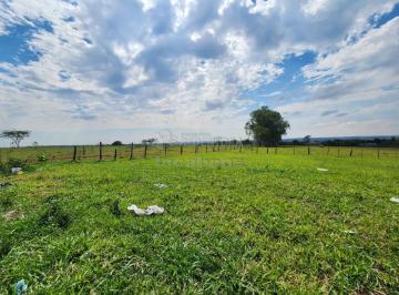 Terreno · 360m² · Terreno Padrão em São José do Rio Preto