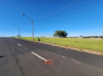 Terreno · 360m² · Terreno Padrão em São José do Rio Preto