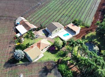 Rural · 35000m² · Sítio produtor de uva em Mandaguari