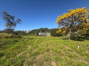 Terreno · 366m² · Terreno disponível para venda no bairro Vigilato Pereira em Uberlândia-MG