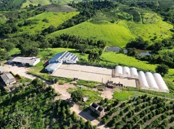1d2ee8ae351b04086646064a9ada867a1af7a660 · Fazenda à venda, 3070000 m²- Bortolan - Poços de Caldas/MG