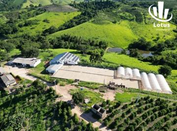e51bada1cd7ff1c1c28469f2bc08c5b86a7962ab · Fazenda à venda, 3070000 m²- Bortolan - Poços de Caldas/MG