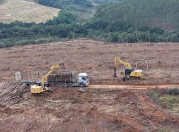 e1aee09e38ac04252d90f552ffda4238297d652c · Fazenda à venda, 14510000 m² - Ipuiúna/MG