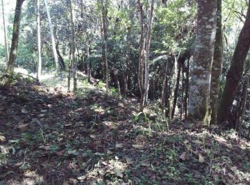 131bac2712f103d5473d6d730b4981da3edbe8b9 · Terreno à venda, 1789 m² por R$ 496.000,00 - Serra da Cantareira - Mairiporã/SP