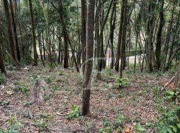 7148051a2612f5a0a54c93d1d11b6d55efb58cb7 · Terreno à venda, 5000 m² por R$ 299.000,00 - Centro - Mairiporã/SP