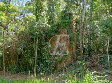 387f23063c9fed0069468bdb7df2bbda8b794fb7 · Terreno à venda, 2400 m² por R$ 495.000,00 - Serra da Cantareira - Mairiporã/SP
