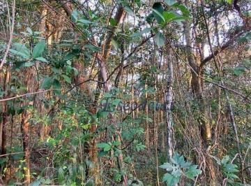 9a3896b3a93033ce4e756afa83e97296c0ceb6b0 · Terreno à venda, 1560 m² por R$ 140.000,00 - Santa Inês - Mairiporã/SP
