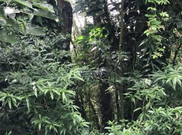 39319791c34f956d1b8723850b37fdb724fa17db · Terreno à venda, 675 m² por R$ 186.000,00 - Parque Petrópolis - Mairiporã/SP
