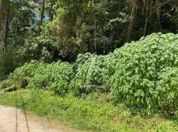 74a165a3e4f2af8468f52bdd737cf45f27b3baf2 · Terreno à venda, 1680 m² por R$ 118.000,00 - Serra da Cantareira - Mairiporã/SP