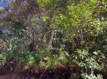 8dcff59177aacd27d00db9d3c65eebcff73fa807 · Terreno à venda, 1386 m² por R$ 250.000,00 - Cacéia - Mairiporã/SP