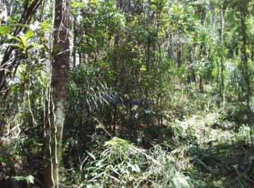 27c0fab36cd5b8dfec99aca7034e4c303c3c94a1 · Terreno à venda, 1140 m² por R$ 120.000,00 - Parque Petrópolis - Mairiporã/SP