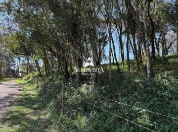 Terreno · 4249m² · Terreno urbano em Campo Alegre - 4249 m2