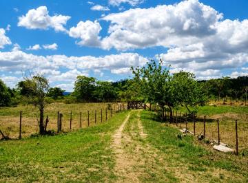 Rural de 4 quartos, Gongogi · OPORTUNIDADE - FAZENDA COQUEIRO ALEGRE