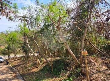 Terreno · 728m² · Terreno à venda em Albatroz - RJ