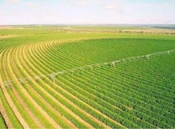 Rural · 22050m² · 4 Quartos · Fazenda com 2050 hectares à venda, 20500000 m² por R$ 300.000.000 - Zona Rural - Buritizeiro/MG