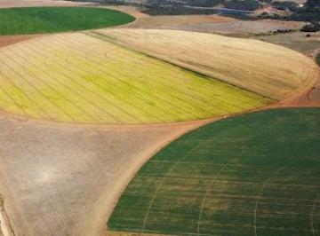Rural · 427000m² · 4 Quartos · Fazenda com 427 hectares à venda, 4270000000 m² por R$ 62.000.000 - Zona Rural - Cristalina/GO