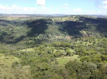 Rural · 1450000m² · 1 Quarto · Fazenda à Venda em Bonfinópolis – GO | 145 Alqueires | Plantio + Pecuária