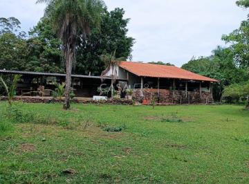 Rural · 360000m² · 1 Quarto · Fazenda / 36 Alqueires / São Miguel do Passa Quatro - GO