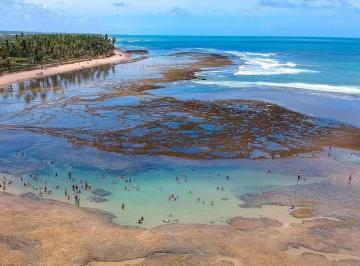 Apartamento à venda no PISCINAS NATURAIS, AÇU DA TORRE, Mata de São João, BA · Apartamento à venda no PISCINAS NATURAIS, AÇU DA TORRE, Mata de São João, BA