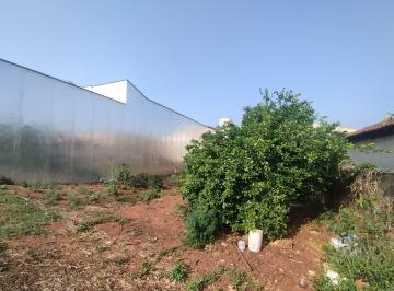 Terreno en Venda  Jardim Ypê · Terreno para venda em Jardim Ypê de 250.00m²