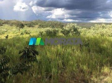 10390_i332i7254_103906a9ac2f2eac3e.jpg · Imoveis - na Chapada Gaúcha