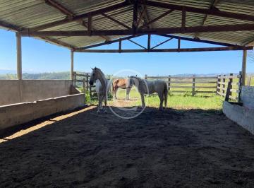 Rural · 701800m² · 3 Quartos · 80 Vagas · Fazenda de leite e corte,Caçapava