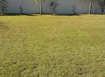 Terreno · 720m² · Terreno plano, oportunidade.