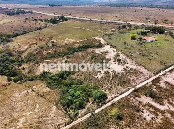 d735d88b-bad0-4f05-8046-1f5a07fa3eb5.webp · LOTE - FAZENDA SANTA BARBARA