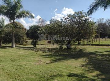 Rural · 20000m² · 3 Quartos · Chacara a venda ou Locação - entre Bady Bassitt e Potirendaba - SP