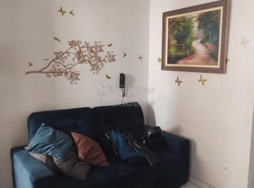 Apartamento · 50m² · 2 Quartos · 1 Vaga · Apartamento no Parque São Miguel de 02 dormitorios