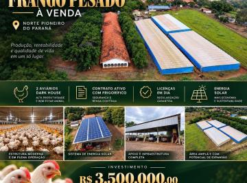 Comercial · 11960m² · 3 Quartos · 4 Vagas · GRANJA DE FRANGO PESADO PRODUTIVA À VENDA – NORTE PIONEIRO DO PARANÁ