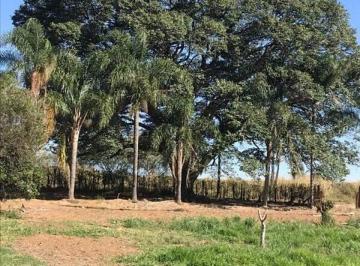 Terreno · 300m² · 5 Quartos · Sitio Jatobá Velho no Bairro da Graminha