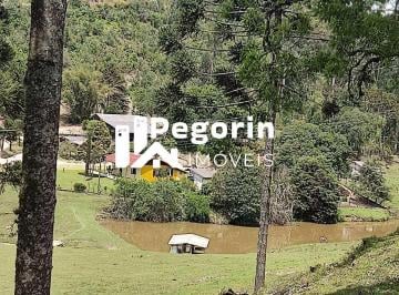 Imagem 1 · Sítio para venda em Centro, Campo Magro