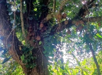 Imagem 1 · Fazenda para venda em Centro, Rio Bonito