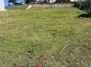 Terreno · 600m² · Terreno para venda em Campo Novo de 600.00m²