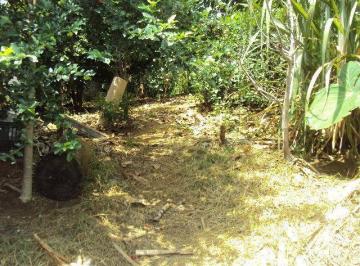 Terreno · 401m² · Terreno para venda em Parque Boturussu de 401.00m²