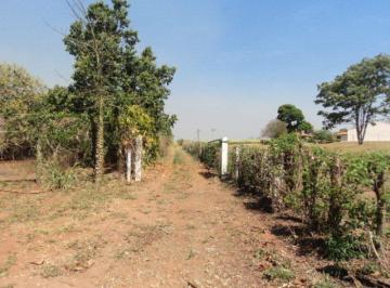 Rural · 798600m² · 1 Quarto · Fazenda / Sítio para venda em Rural de 798600.00m² com 1 Quarto