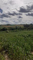 Rural · 25m² · 1 Quarto · Fazenda / Sítio para venda em Área Rural De Mogi Mirim de 25.00m² com 1 Quarto