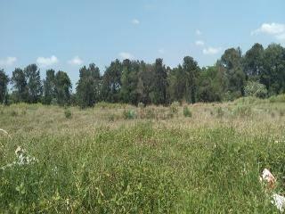 Terreno · 6190m² · Terreno para venda em Europark Comercial de 6190.00m²