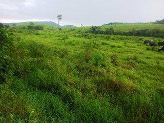 Imagem 1 · Fazenda para venda em Centro, Silva Jardim