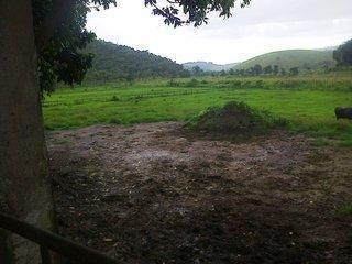 Imagem 1 · Fazenda para venda em Centro, Silva Jardim