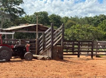 Imagem 1 · Fazenda para venda em Centro, Tesouro