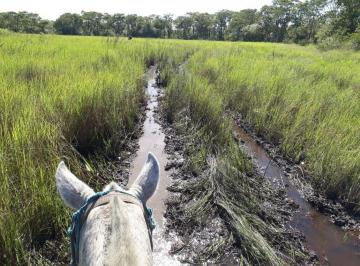 Imagem 1 · Fazenda para venda em Centro, Poconé