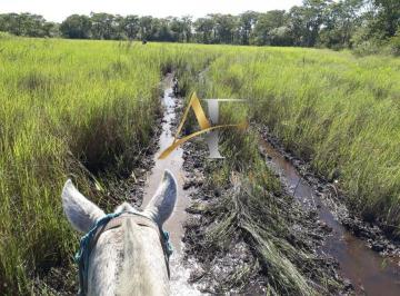 Imagem 1 · Fazenda para venda em Centro, Poconé