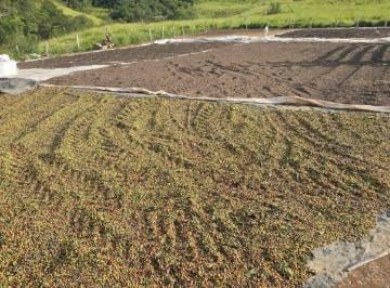 Imagem 1 · Fazenda para venda em São Tiago