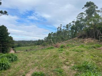 Terreno · 17577m² · Terreno à venda - em Osório