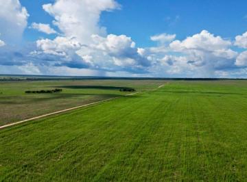 Rural de 3 quartos, Gaúcha do Norte · Fazenda plantado na região de Gaúcha do Norte