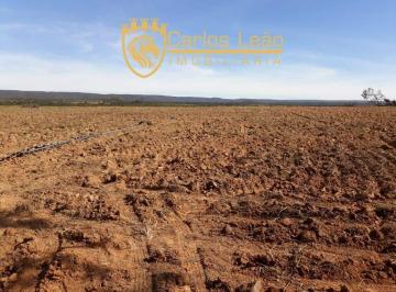 Imagem 1 · Terreno para venda em Centro, Nova Brasilândia