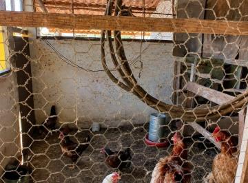 Imagem 1 · Fazenda para venda em Centro (Sambaetiba), Itaboraí