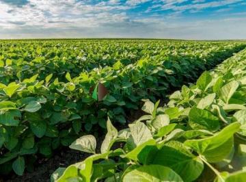 Imagem 1 · Terreno para venda e aluguel em Pontes e Lacerda